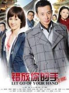 錯放你的手劇情介紹(1-30全集)