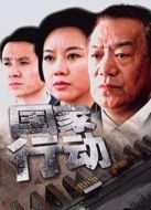 國家行動（2009版）劇情介紹(1-全集)
