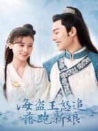 海盜王怒追落跑新娘海報(bào)
