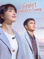 向陽而生 向陽花CP治愈版海報