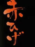 紅胡子第一季劇情介紹(1-8全集)
