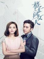格子間女人 DVD版劇情介紹(1-30全集)