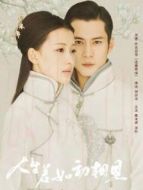 人生若如初相見(jiàn)速看版劇情介紹(1-全集)