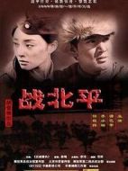 戰北平劇情介紹(1-27全集)