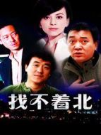 找不著北劇情介紹(1-20全集)