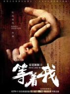 等著我劇情介紹（1-4全集）大結局