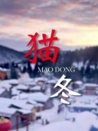 貓冬劇情介紹（1-35全集）大結局