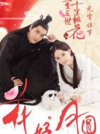 極速賞桃花劇情介紹(1-20全集)