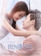 極速遇見你劇情介紹(1-14全集)