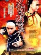 大內群英續集劇情介紹(1-21全集)