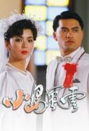 小島風云劇情介紹(1-20全集)