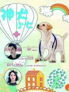 神犬小七第五季劇情介紹(1-40全集)