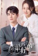結婚嗎？好的！劇情介紹(1-30全集)