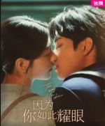 因為你如此耀眼劇情介紹(1-24全集)