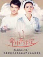 命中不注定[普通話版]劇情介紹(1-54全集)