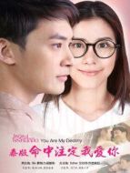 命中注定我愛你[泰國版][國語]劇情介紹(1-34全集)