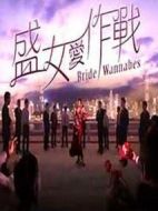 盛女愛作戰劇情介紹(1-10全集)