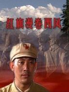 紅旗漫卷西風劇情介紹(1-40全集)