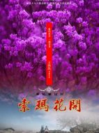 索瑪花開(kāi)劇情介紹(1-32全集)