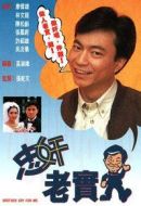 忠奸老實人劇情介紹(1-20全集)