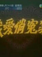我愛俏冤家海報(bào)