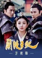 蘭陵王妃 衛視版劇情介紹(1-34全集)
