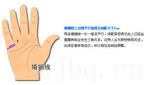 婚姻線劇情介紹(1-全集)