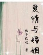愛情與婚姻劇情介紹(1-6全集)