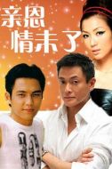 親恩情未了劇情介紹(1-20全集)