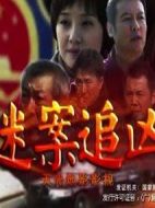 迷案追兇海報