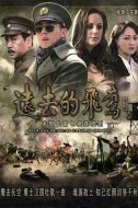 遠(yuǎn)去的飛鷹劇情介紹(1-30全集)
