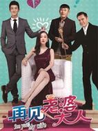 再見，老婆大人劇情介紹(1-38全集)