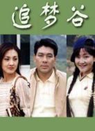 追夢谷劇情介紹(1-20全集)
