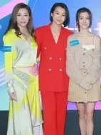 熟女強人劇情介紹(1-20全集)