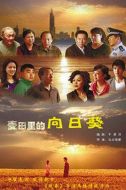 葵花進城劇情介紹(1-28全集)