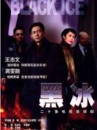 黑冰劇情介紹(1-20全集)
