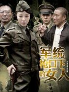 軍統槍口下的女人劇情介紹(1-30全集)