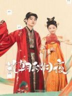 只是離婚的關系劇情介紹(1-22全集)