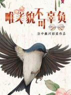 唯美貌不可辜負劇情介紹(1-24全集)