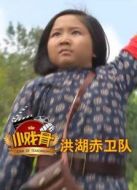 小戲骨洪湖赤衛隊劇情介紹(1-1全集)